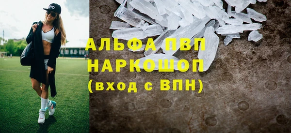 ПСИЛОЦИБИНОВЫЕ ГРИБЫ Богданович