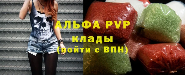 ПСИЛОЦИБИНОВЫЕ ГРИБЫ Богданович