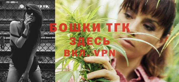 ПСИЛОЦИБИНОВЫЕ ГРИБЫ Богданович
