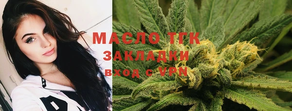 ПСИЛОЦИБИНОВЫЕ ГРИБЫ Богданович