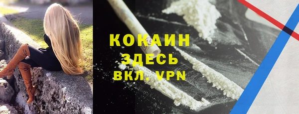 ПСИЛОЦИБИНОВЫЕ ГРИБЫ Богданович