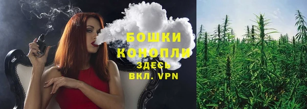 mix Богородицк