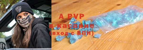 ПСИЛОЦИБИНОВЫЕ ГРИБЫ Богданович