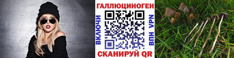Галлюциногенные грибы Magic Shrooms  KRAKEN ONION  Йошкар-Ола 